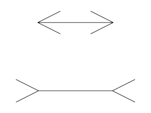 ミュラー・リヤー図形