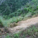 ジュゴンの見える丘への山道の崖
