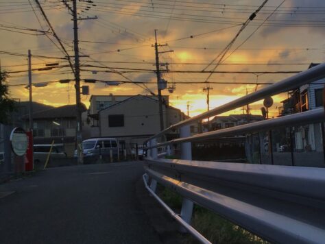 夏の空